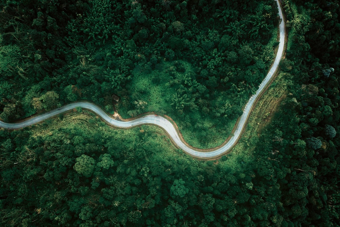 A winding path, mirroring the transformative journey of facing life transitions and seeking therapy