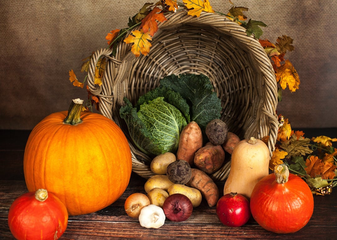 Fresh fruits and vegetables, symbolizing healthy eating habits as part of eating disorder treatment